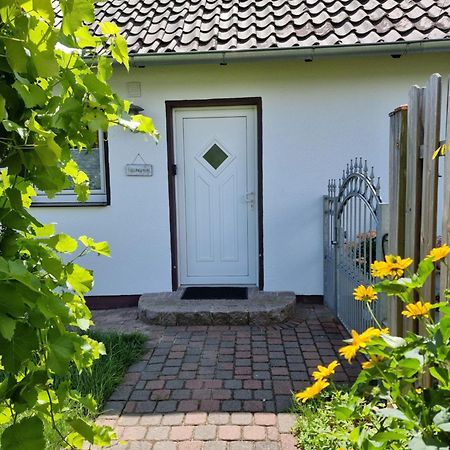 Feel-Good Apartment Close To The City Reppenstedt Eksteriør billede